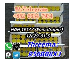 +852 66347934 HGH 191AA(Somatropin） 12629-01-5