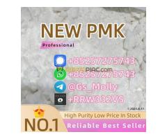 New P M K E.thyl G.lycidate (C.AS 28578-16-7) – Lab Chemicals Supplier