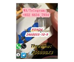 +852 66347934 FOXO4 2460055-10-9 - Kép 4/8
