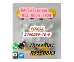+852 66347934 FOXO4 2460055-10-9 - Kép 7/8