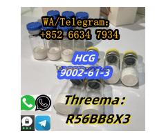 +852 66347934 HCG CAS:9002-61-3