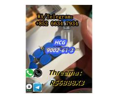 +852 66347934 HCG CAS:9002-61-3 - Kép 4/6