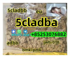 5cl-ADBB 5-cl-adb-a adbb 4cladbb 4f-ADB 2cladbb bmk pmk raw materials