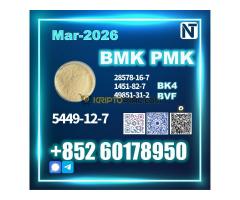 5449-12-7 BMK & PMK 28578-16-7 source factory - Kép 9/10